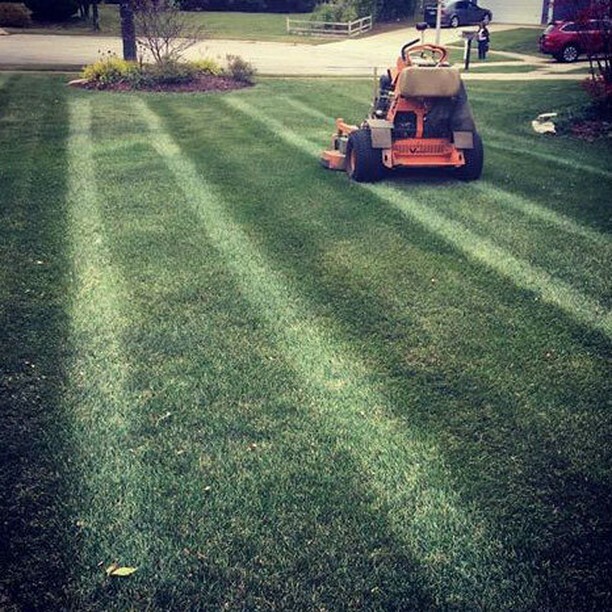 sean_beane's tweet photo. Your choice, follow the stripes or create the stripes?
You too can be a leader, ask for a Scag Demo in 2020, #Scagathon2020 #Trueorange https://t.co/M9ZX2CIoqX
