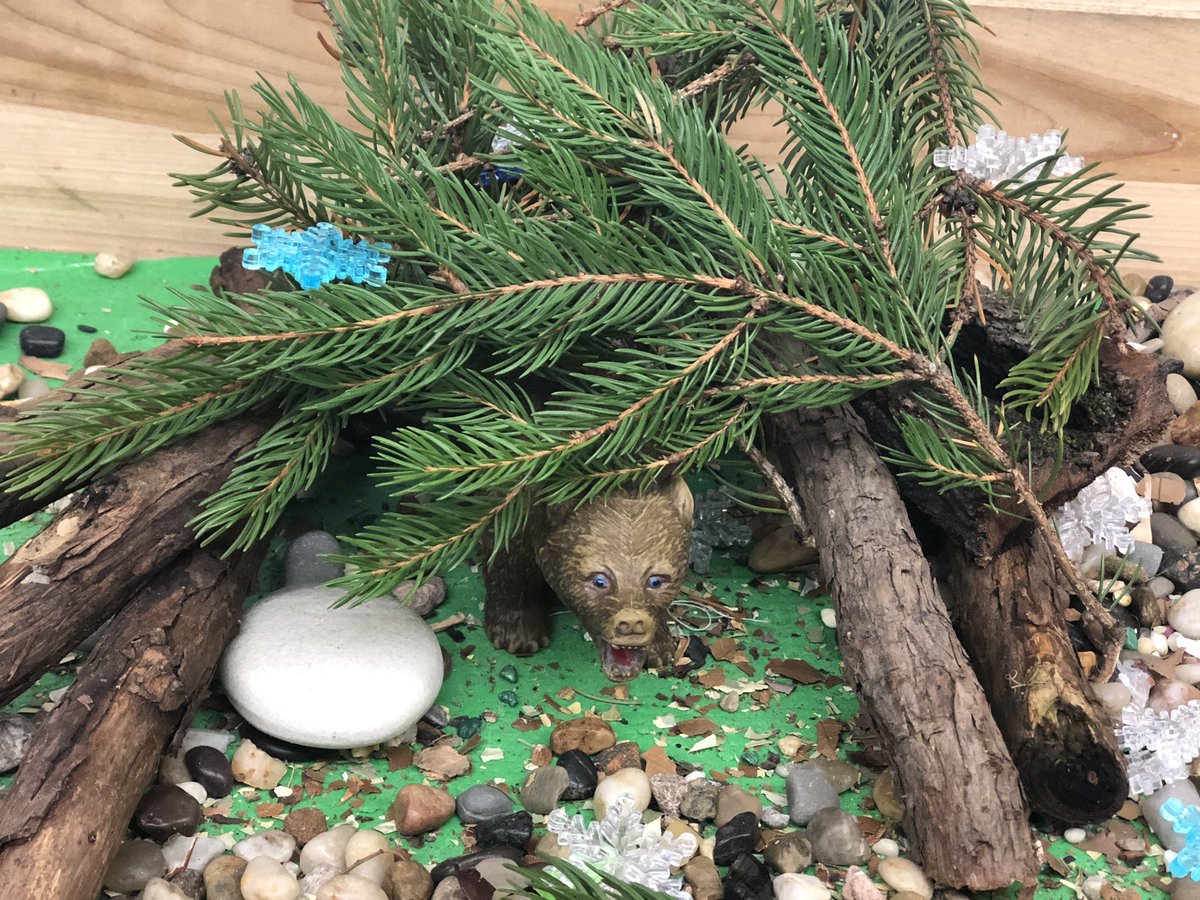 RRabcaniak's tweet photo. #animalsinwinter #hibernation https://t.co/st6zmhwa2U