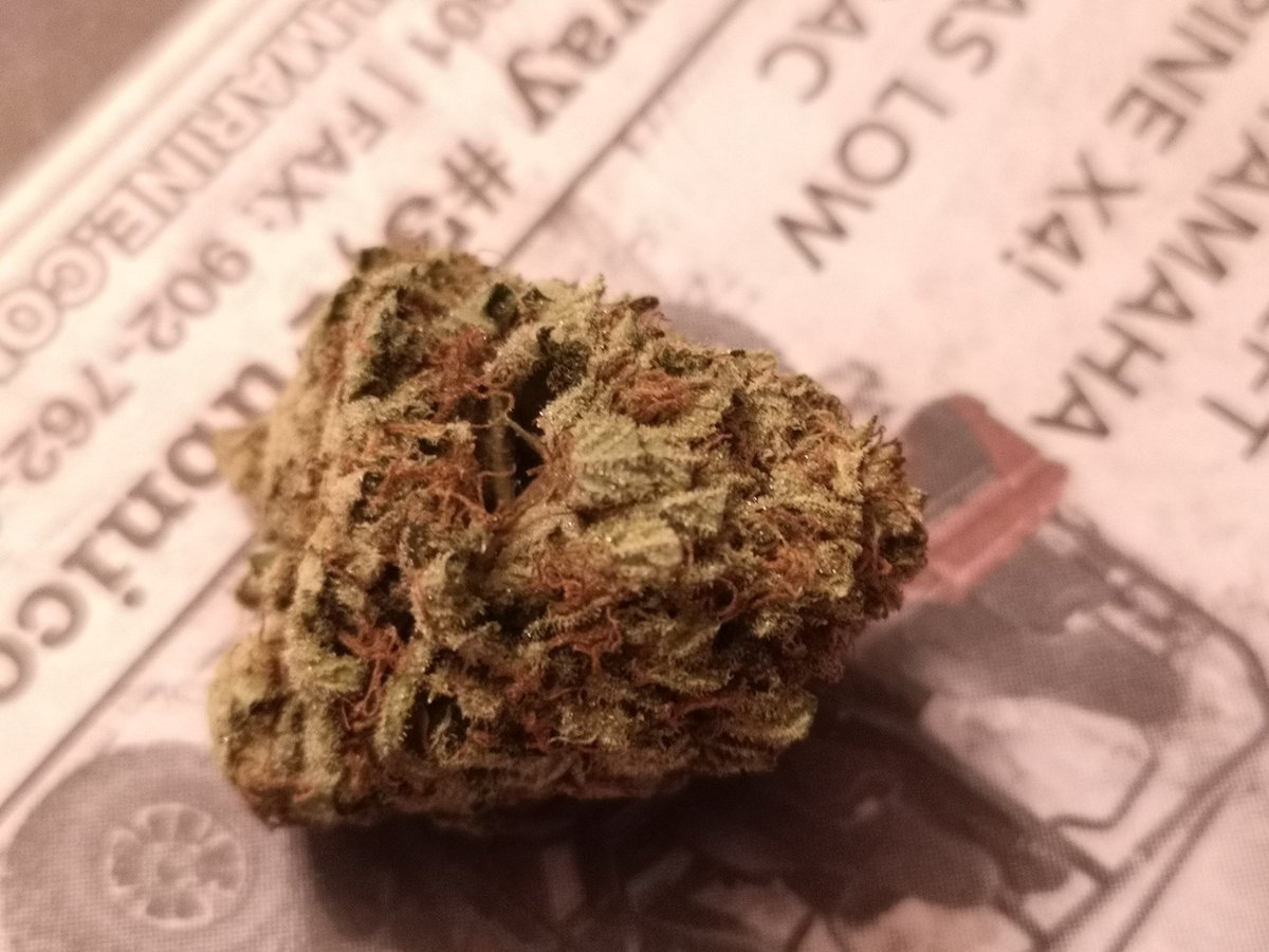 JeffLon05356929's tweet photo. #mangosapphire
#staylit #420life
#902lit https://t.co/v94jrugZ86