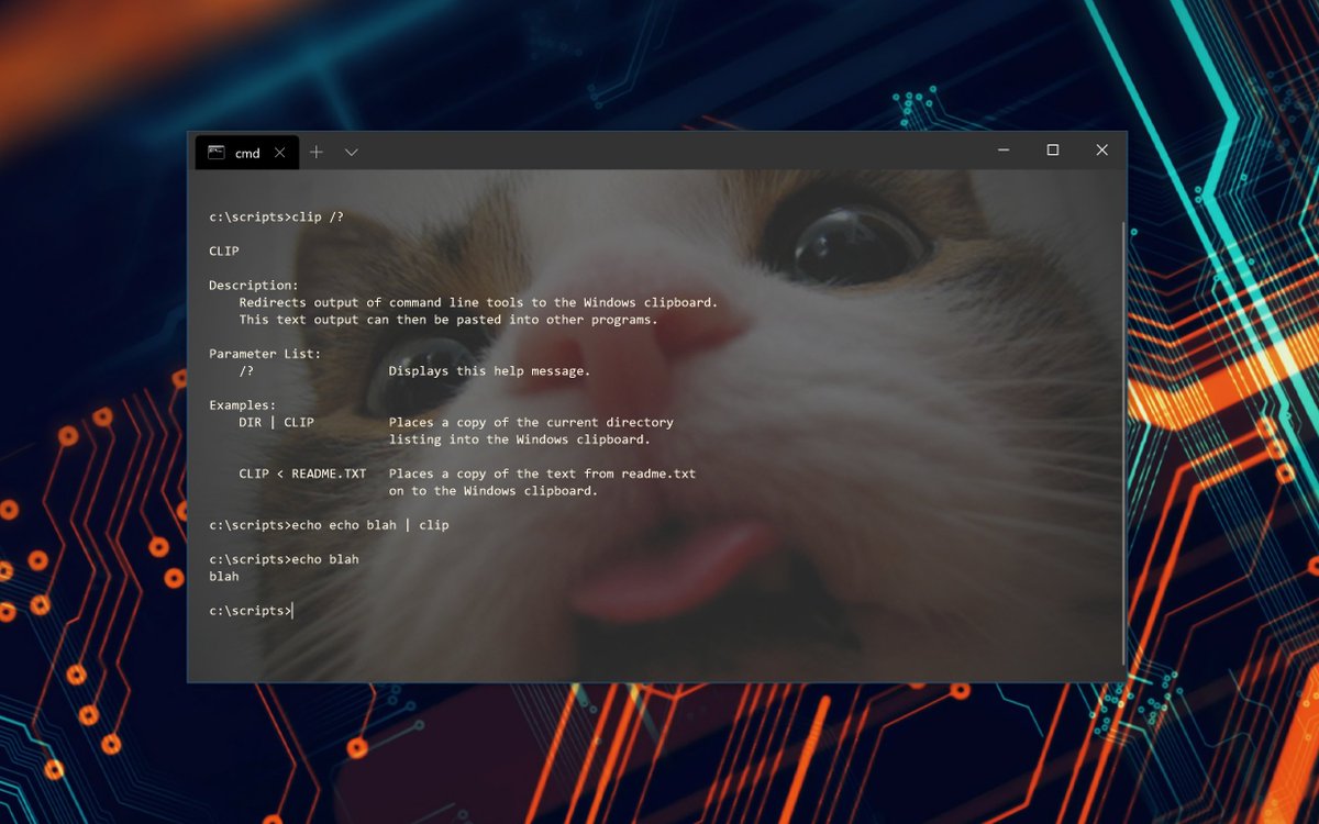 Showing clip being used in command prompt to copy content