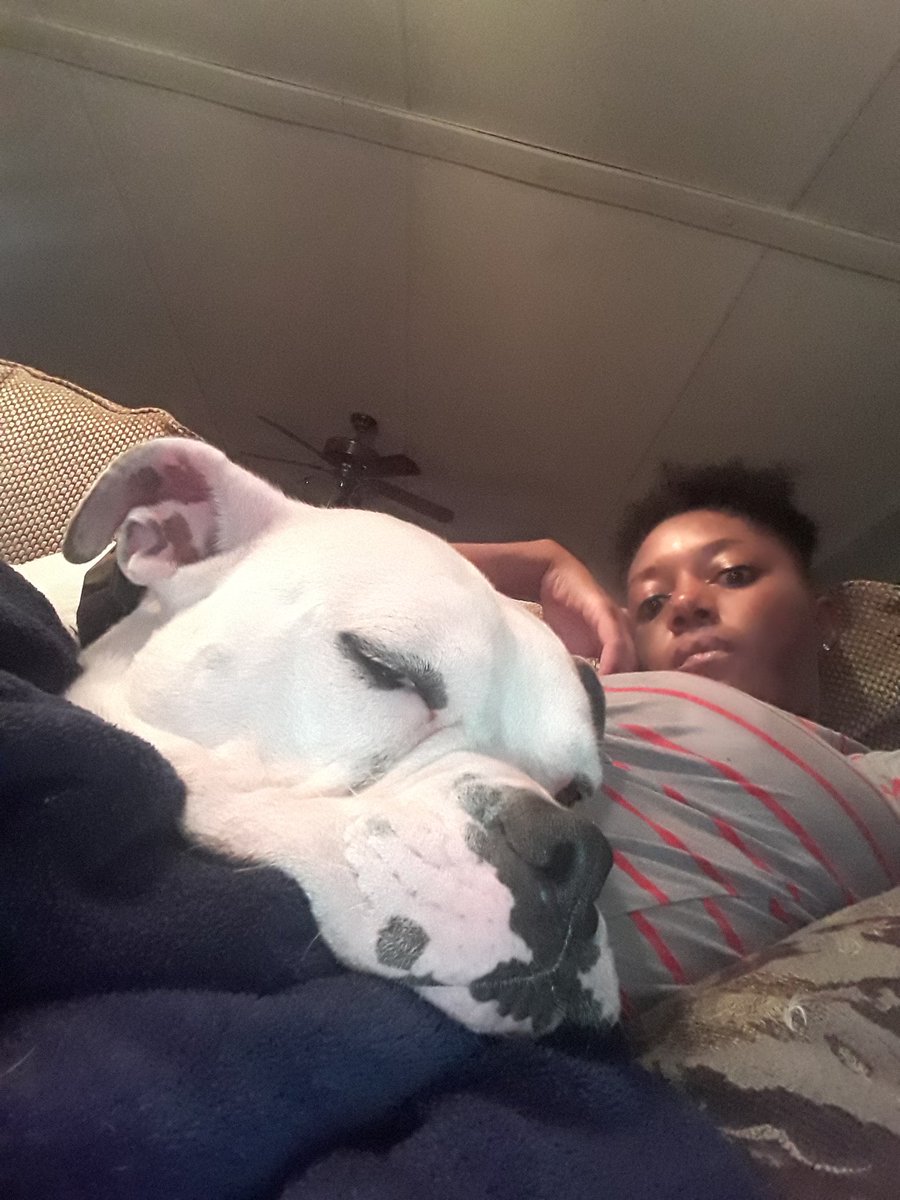 _rocceaux's tweet photo. I love this bad ass li boy so much.
My nigga got fixed today lmao he OUT.
Harley my boyfriend ๐
#Bully
#BoyBully https://t.co/Zp5RqWbsSm