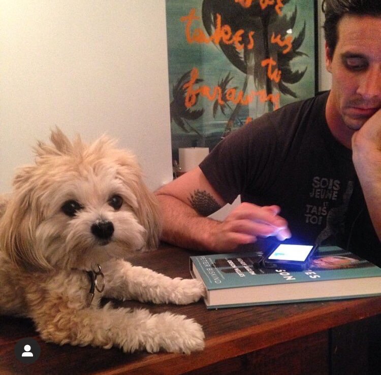James Ransone and Dogs Part 2 (also bonus Rami Malek)!I’m not going to ask why that dog is in a blender or why one of them is wearing an orange traffic cone. Sometimes you’re better off not knowing 