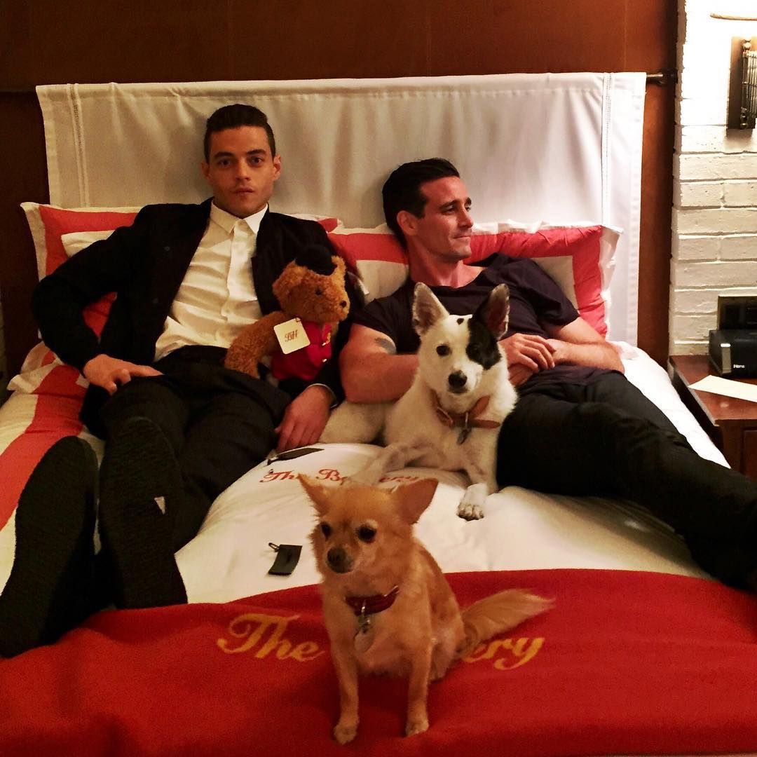 James Ransone and Dogs Part 2 (also bonus Rami Malek)!I’m not going to ask why that dog is in a blender or why one of them is wearing an orange traffic cone. Sometimes you’re better off not knowing 