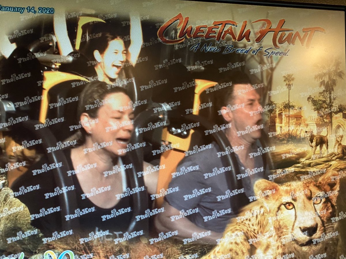 ErikStolhanske's tweet photo. My wife is going to kill me for posting this roller coaster photo from today, but why does it look like we’re going to puke and wet our pants and the woman behind us looks likes she’s a homecoming queen at a pep rally? @buschgardens. @ThatBarbs https://t.co/mZrdVYUDuT