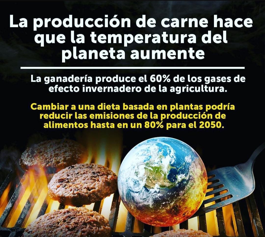 Luisa_Fernand's tweet photo. @lucasgarciac Podríamos comenzar dejando de explotar el planeta y los animales ....😊#veggie ❤️ https://t.co/FI2CjalXXi