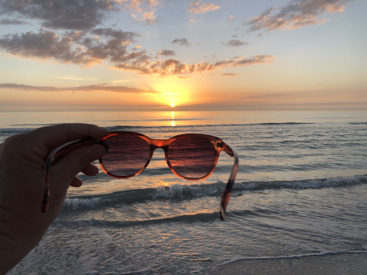 ESUSoftball's tweet photo. “Every sunset is an opportunity to reset” 2020 softball season here we come!!! #GoWarriors #TheTeamStartsThisWeekend #BringIt #LaterFlorida https://t.co/pzzSNaVjFB