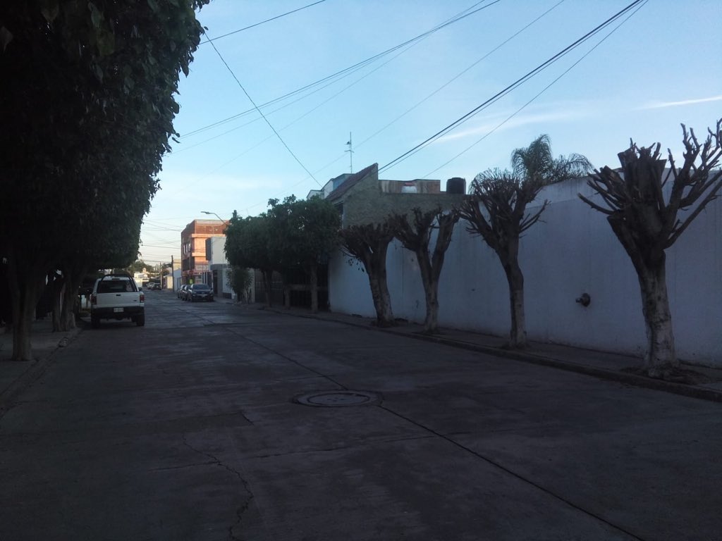 FURAmx's tweet photo. Calle Morena en el fraccionamiento Tepeyac #LeónGto ¡Así no nos benefician los árboles! Necesitamos mejores prácticas, más conocimiento y asesoría hacia su cuidado @ambiente_leon @mariamejialba https://t.co/9F6WCtiCt2