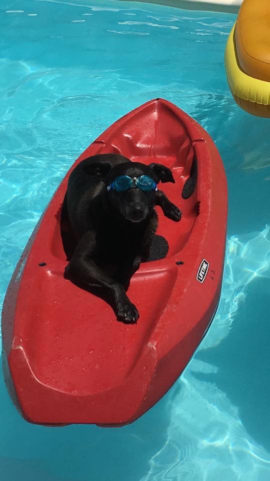 OZYMANDIAS tweet media