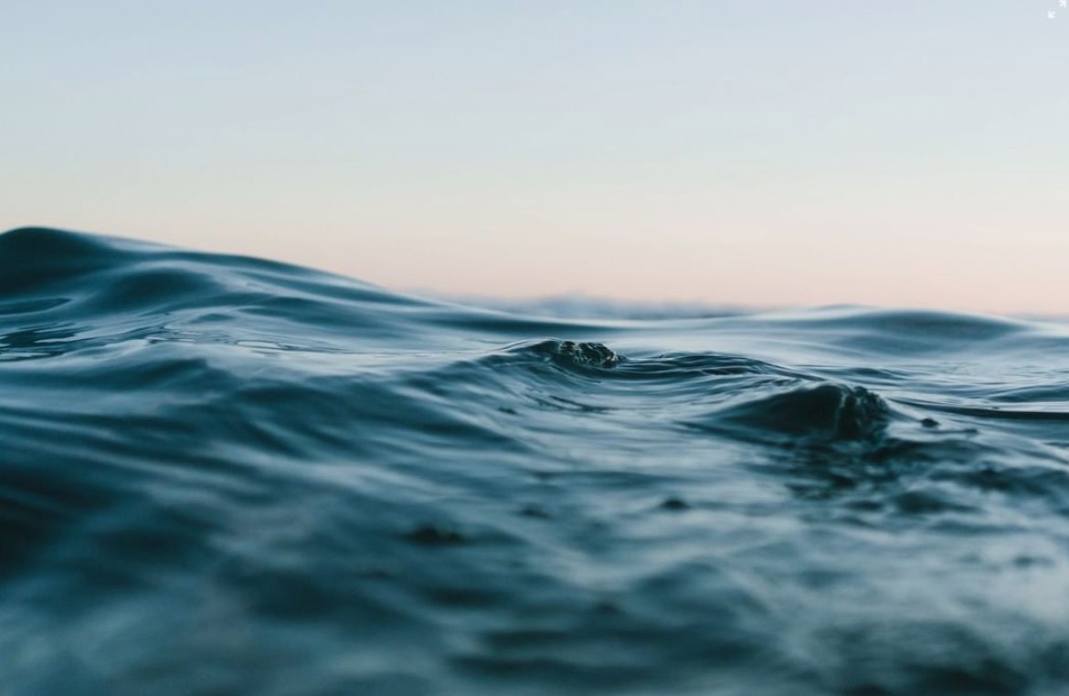AquaStar_Co's tweet photo. Our oceans are interconnected, and that means that everything we do is felt in waves around the world. Our Seafood Forever™ program is our commitment to responsible sourcing and meeting the needs of our environment today and for years to come. #SmartSeafood

Pic: matthardy - IG https://t.co/becBzNycEm