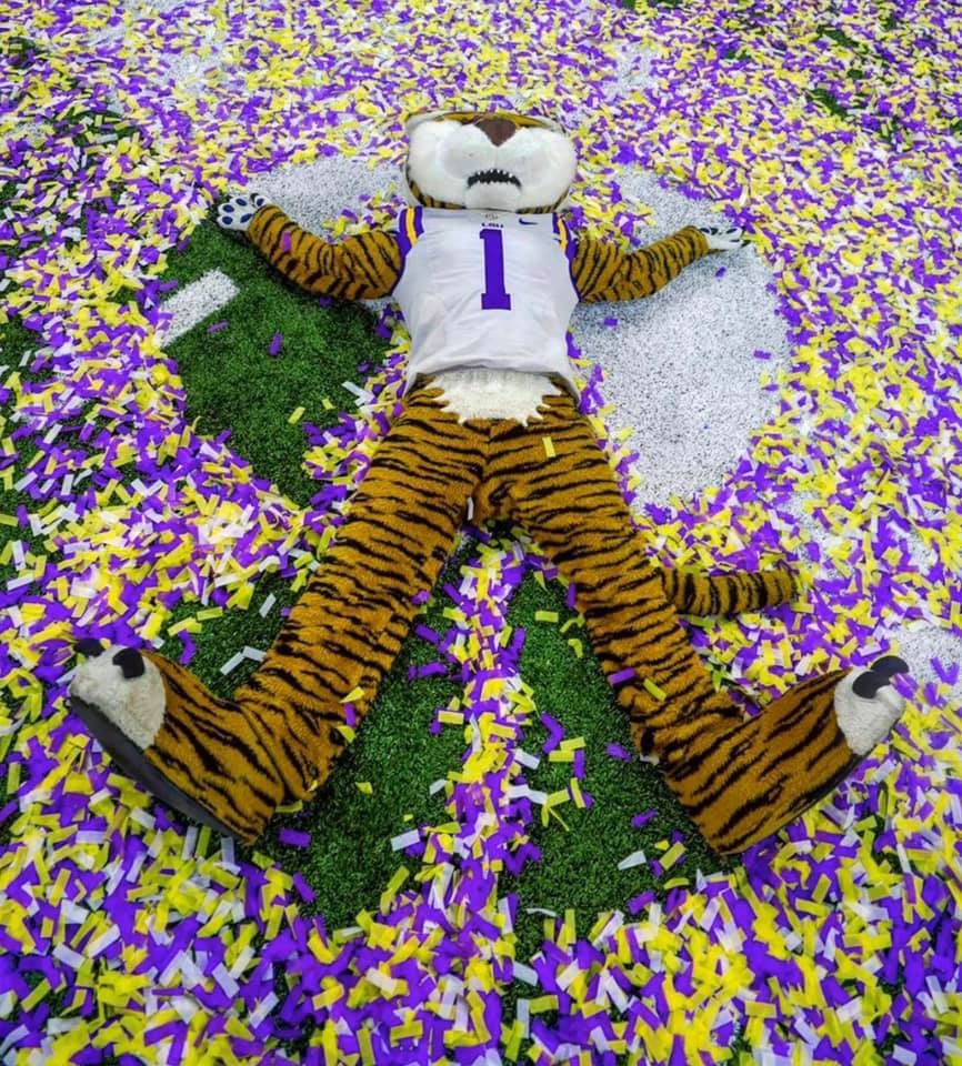 LakeshoreDents's tweet image. We felt this way all day today....... Congratulations LSU on winning the National Championship! 💜🐯💜   #Mike #MikeIsTheBest #StillCelebrating #LSU #OurTigerIsBetterThanYours #NationalChampionship #Slidell #SlidellDentist #DrReine #DrRing #Dentist #LakeshoreFamilyDentistry