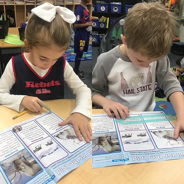 Mrs. Lirette's LD tweet media