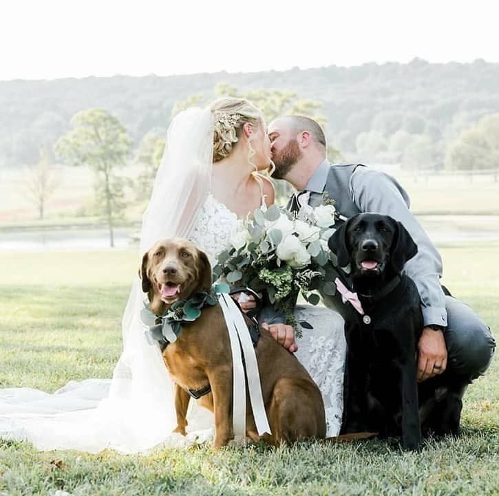BloodDiamond6_4's tweet photo. @INcountry_girl The pups // the owners https://t.co/Six8c7ee7t