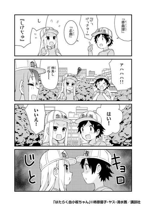 4/6 