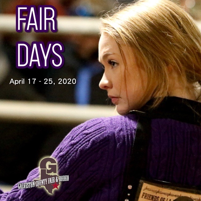 thegcfr's tweet photo. What are you looking forward to? #gcfair #galvestoncountyfairandrodeo #2020fair https://t.co/foDc6ZLMUB