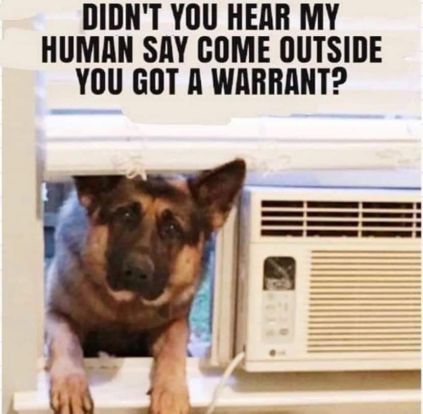 EsperansaT's tweet photo. 😂😂😂😂😂😂😂😂😂😂😂@livepd @PascoSheriff @Sean_C_Larkin @gooddoggie https://t.co/Gs2tILwI1y