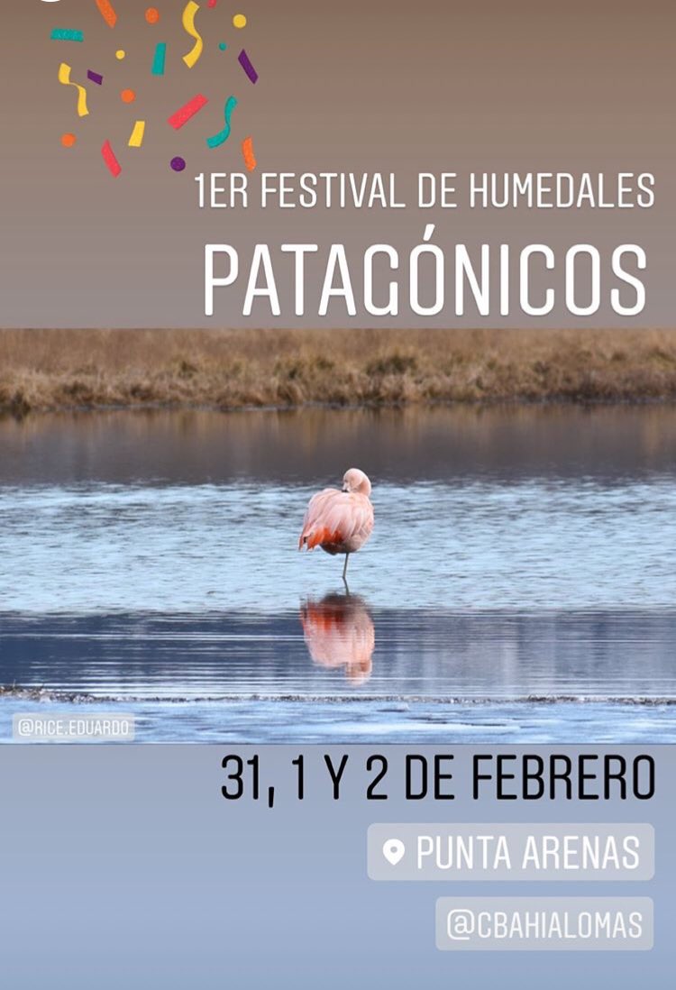 AEPatagonica's tweet photo. ¡Se viene el “1er Festival de Humedales Patagónicos” en #PuntaArenas, viernes 31 de enero, sábado 1 y domingo 2 de febrero celebrando el #DíaMundialdelosHumedales 2020! Atentos a + info. #Puq #Patagonia #AEPatagonica #HumedalesChile #Rnu #Rrnup https://t.co/pYzQ5vhtSX