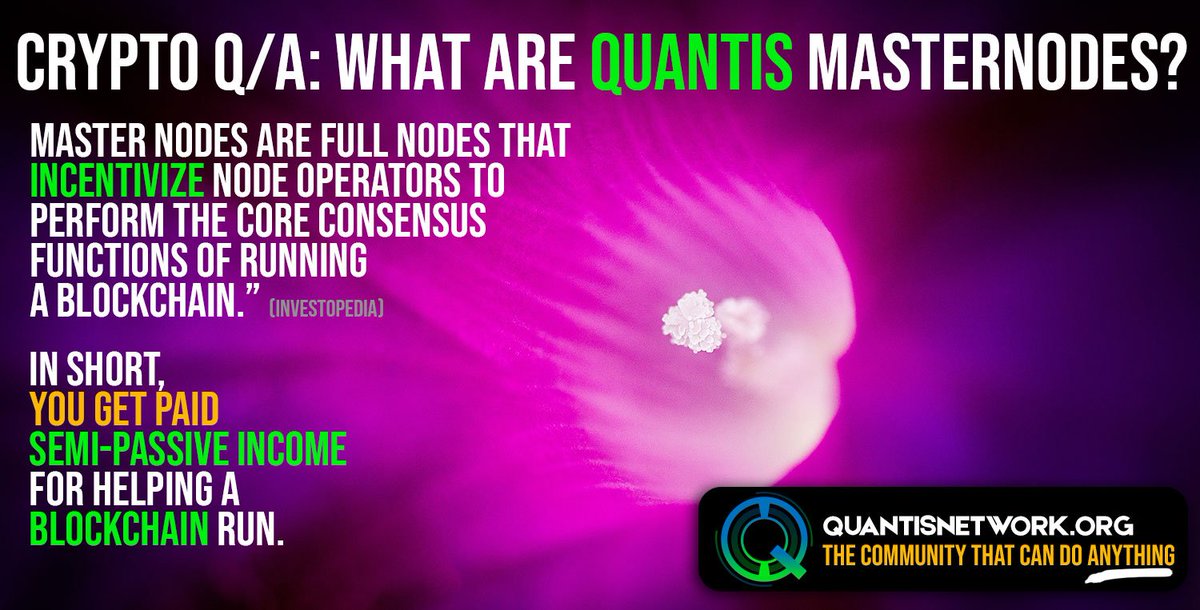 QuanHost's tweet image. 1,180 #Masternodes Hosted on @QHOST!
Join the Discord Server: discord.gg/thtDzqN
@QuantisNetwork #Masternodes 
🏦🏦🏦🏦🏦
JOIN THE #QUANARMY TODAY! 
Follow 
@ToshiDesk
@Masternode_X 
@QuantisTr 
@QuantisN 
@QuantisNetESP
@Masternode_X 
@MTRDevelopers