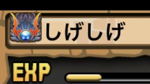 しげしげ🐈🐈‍⬛ tweet media