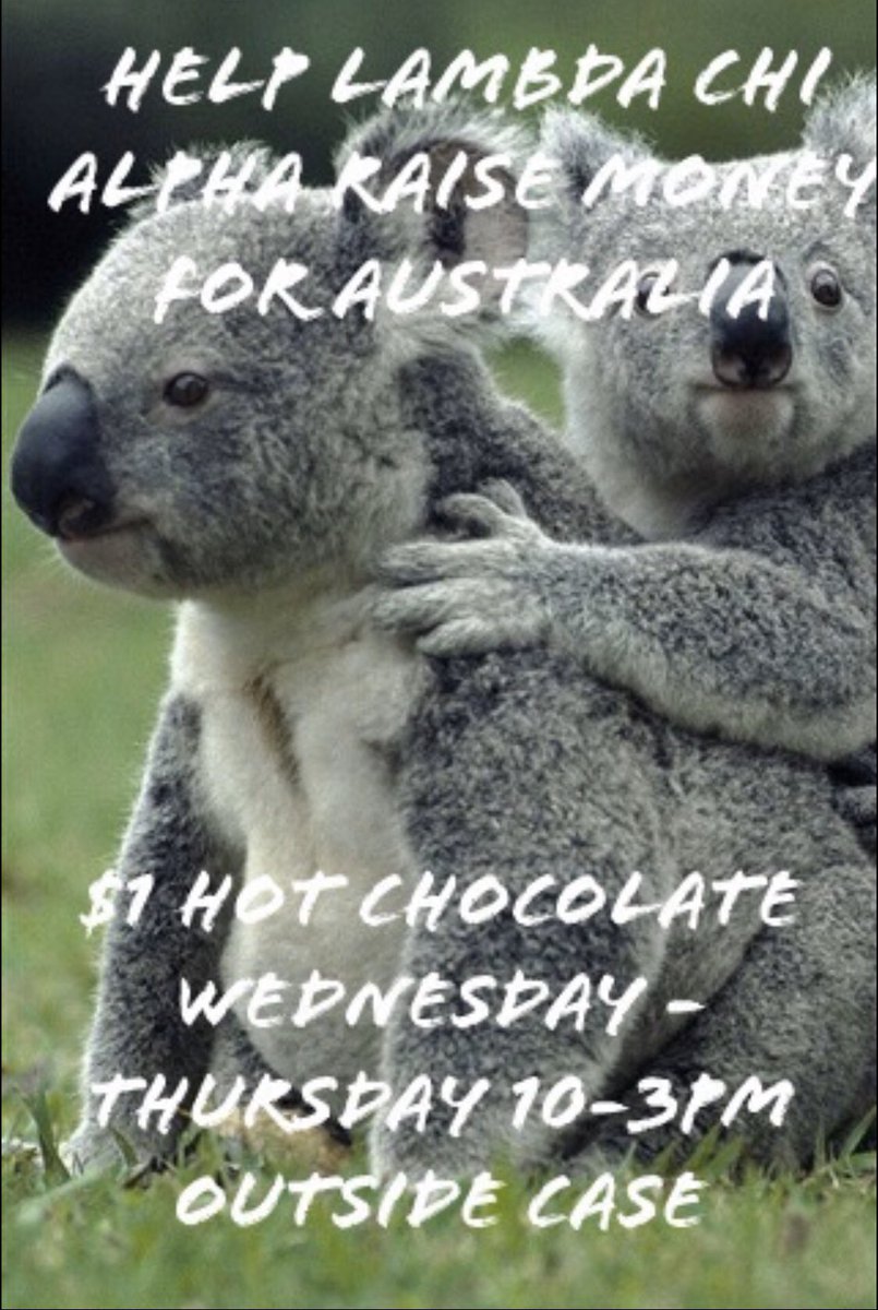 Help Lambda Chi Alpha at EKU raise money to help Koalas and those affected by the bushfires in Australia by donating money! We will be tabling outside Case both Wednesday and Thursday from 10-3! We will be selling hot chocolate for $1, and donations are accepted as well!