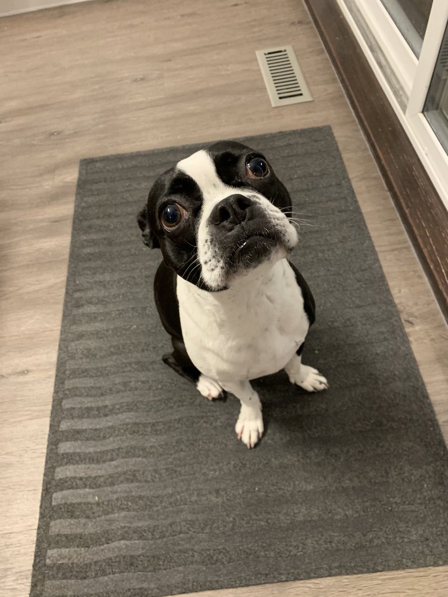 chrisparkin's tweet photo. @Wendy It means poop strike for this girl. https://t.co/69ZRBv3Z1M