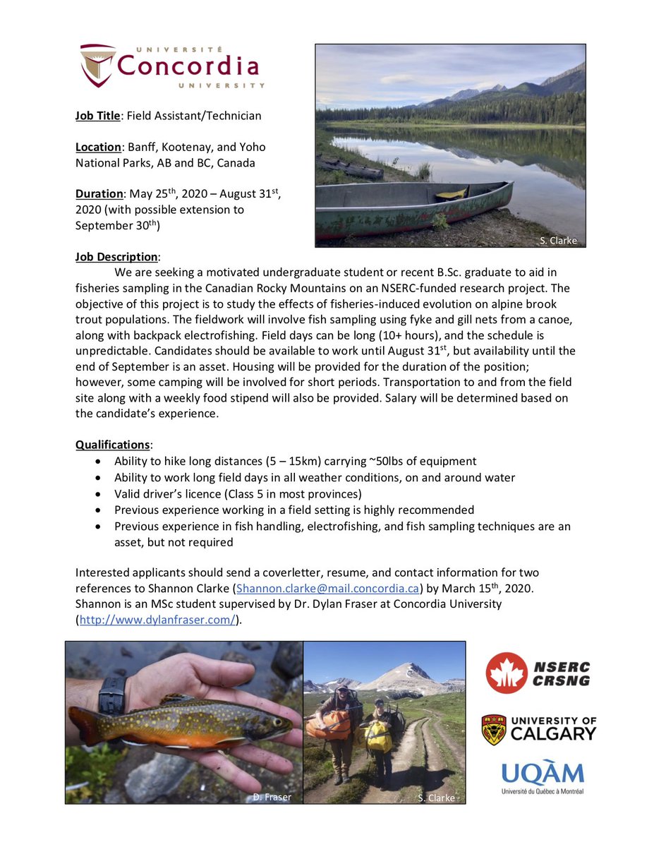 thefraserlab's tweet image. Our lab has a smorgasbord of field assistant and field tech positions available this summer! Lots of fish sampling and hiking in some of Canada&apos;s most beautiful places. Angling is part of the job for some. 4 ads below, please RT!

1/4: #Fieldassistant/technician, #Banff/#Yoho NPs