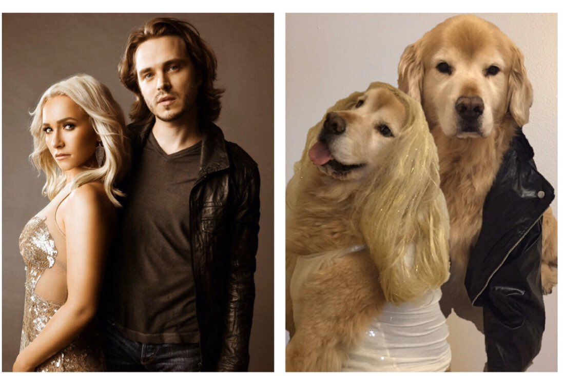 KeepinItChereal's tweet image. Happy #DressUpYourPetDay old school #Nashie #NashvilleCMT style 🐾