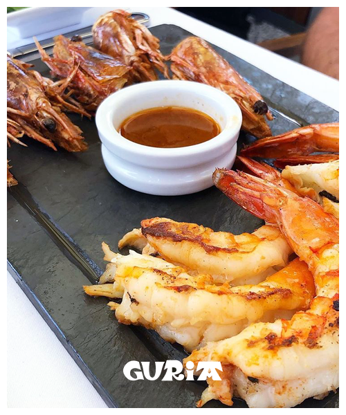Guria tweet media