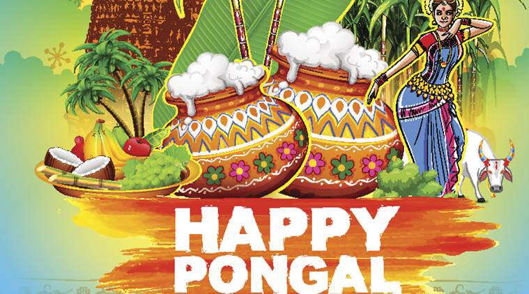 Happy Pongal wishes