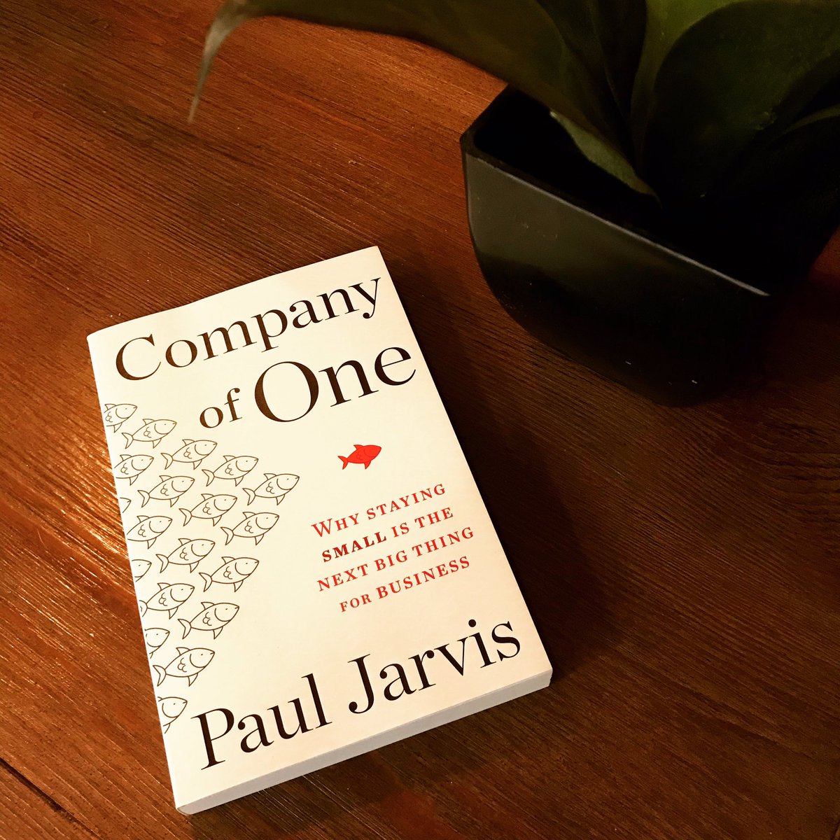 jcoryalvernaz's tweet photo. Stoked to start digging into this one by @pjrvs!
#companyofone #freelancewebdev https://t.co/IKH7m5J5yw