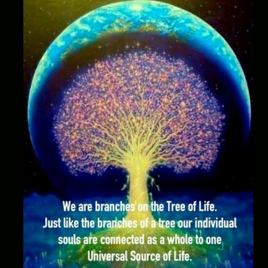 PrachiMalik's tweet photo. We are branches on the #Tree of #Life!π³π³π³π³
ππΏππΏππΏππΏπ
Just like the branches of a tree, our individual #Souls are connected as a whole to one #UniversalSource of life!π«π«π«π«π«π«π«
#WednesdayVibes
#JoyTrain
#IAM
#RainKindness https://t.co/dhpnlysBWa