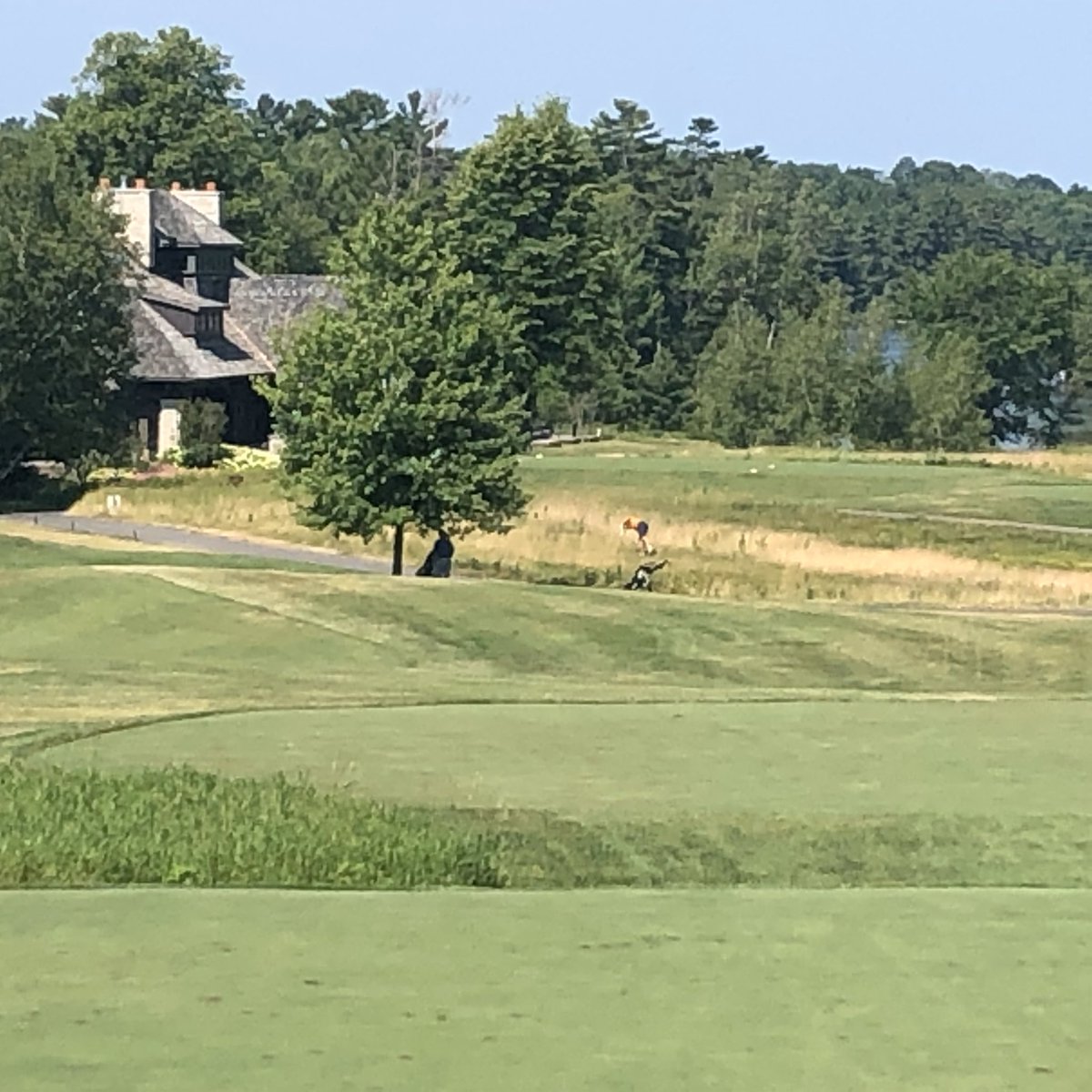 Wildfire Golf Club tweet media