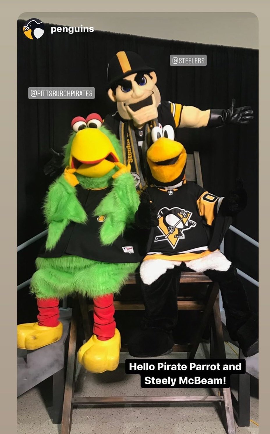 Pirate Parrot - PIttsburgh Pirates 