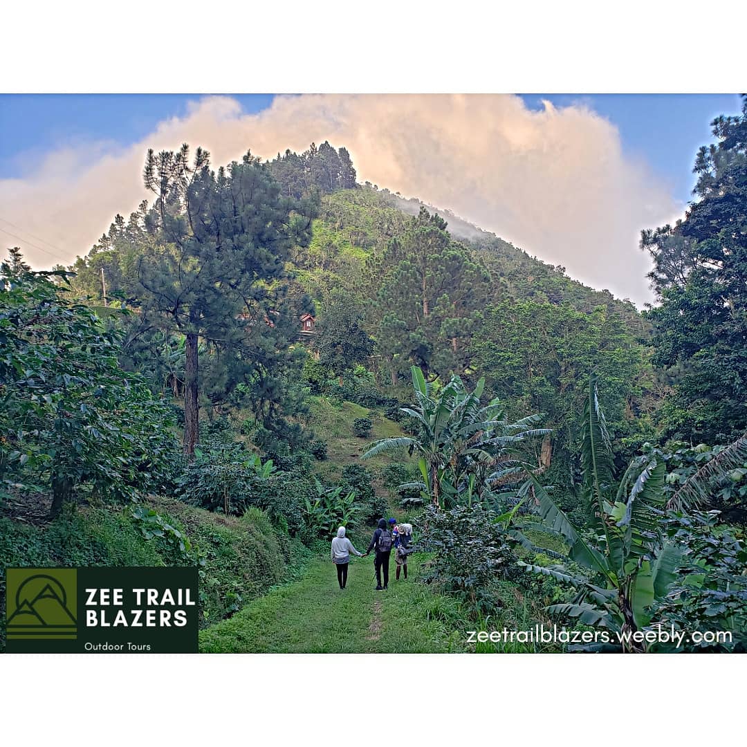 zeetrail's tweet photo. And in the mountains, as a professional climber, that’s the question you always get: Why, why, why? It’s an ineffable thing; you can’t describe it.
#ZeeTrailBlazers https://t.co/fFn5wB8YJ4