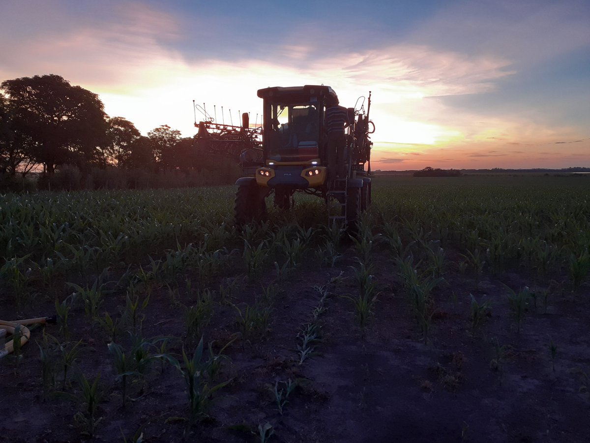 Finalizada la fertilización,  100 % del maíz de <a href="/ManAgroSA/">Man Agro S.A</a> en entre ríos  dosificado  por ambientes... mejorando la eficiencia agronómica y económica... ahora a esperar la lluvia.