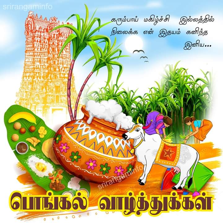 OttaKaalana's tweet photo. இனிய பொங்கல் நல்வாழத்துக்கள் @ranjithbb @RamGautham_ @i_am_viji @Vignesh91963477 @NandhiniJayaba2 #Pongal #ottakaalana #sakkarai #sweet #WednesdayWisdom #WednesdayThoughts #WednesdayVibes https://t.co/DNUwmxA4MW