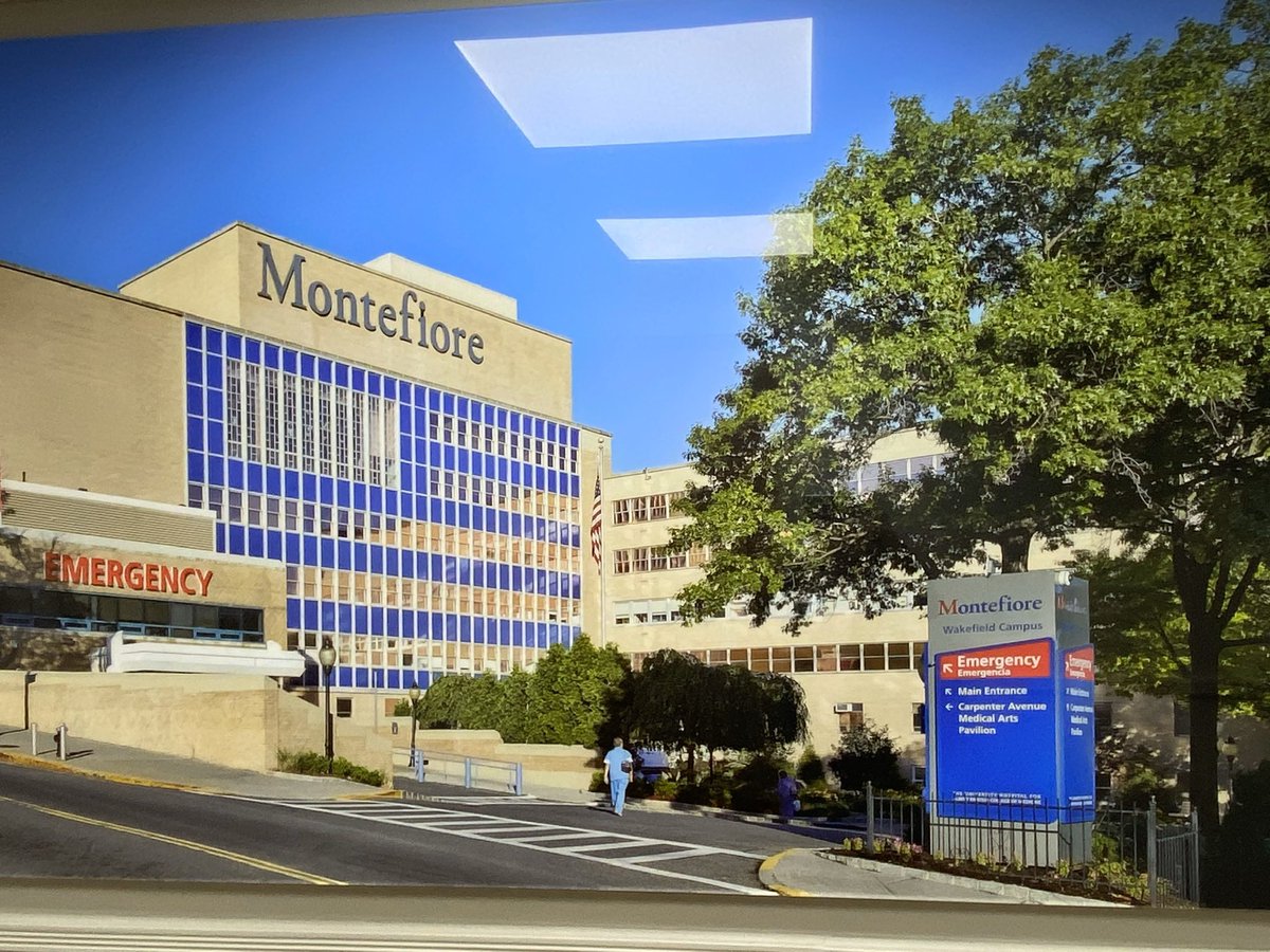 BronxCPNP tweet media