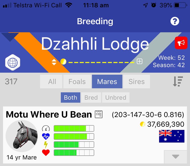 Anyone want this nice mare? <a href="/AndPacing/">Off and Pacing</a> <a href="/40Frein/">Scott</a> <a href="/denisholbeck70/">Motu</a> @jbbbstable