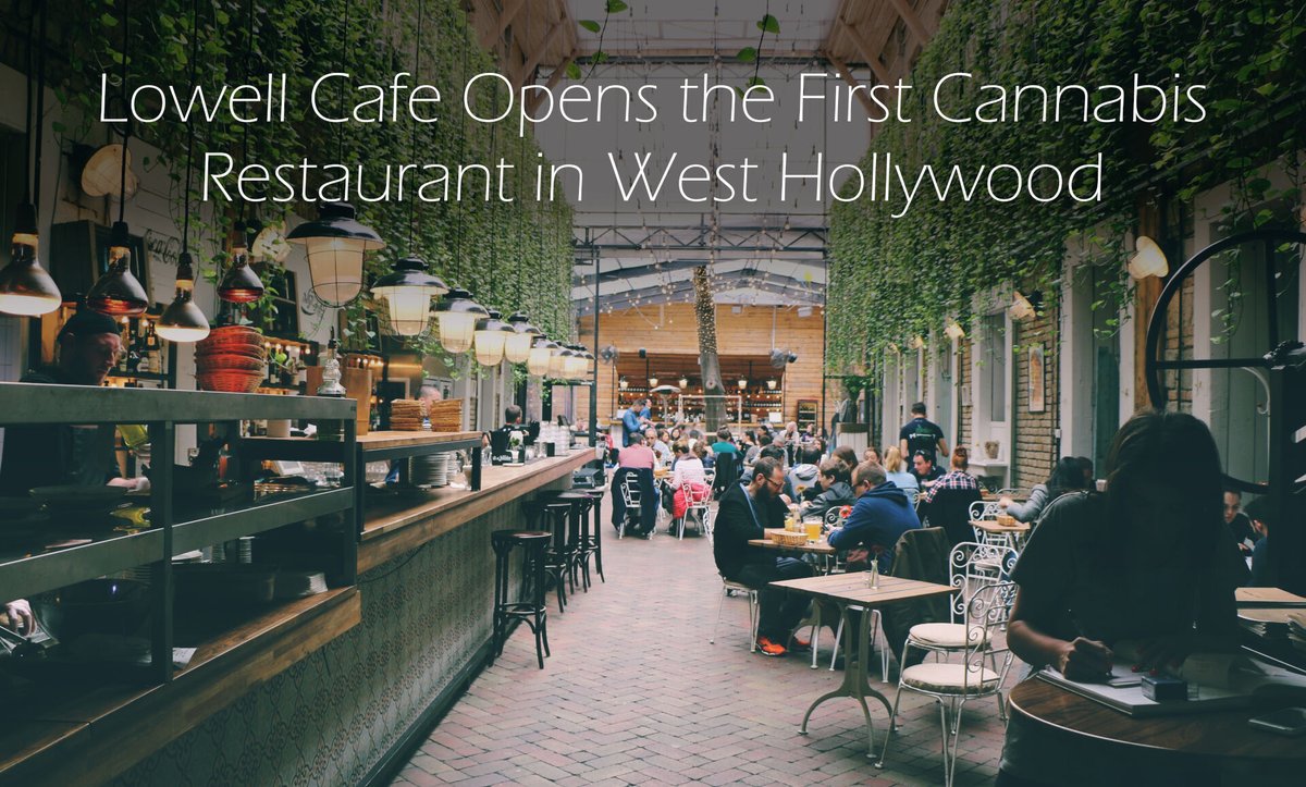 harbormmcc's tweet photo. First Cannabis Restaurant Has 30-Day Waiting List. 

The first #Cannabis #restaurant in the U.S. will open in West #Hollywood, #California. #LowellCafé is the first establishment out of 300 that applied. 

Get the full article: https://t.co/APkVzlaA9H 

#420Dining #420food #THC https://t.co/dsYnyGRpFI