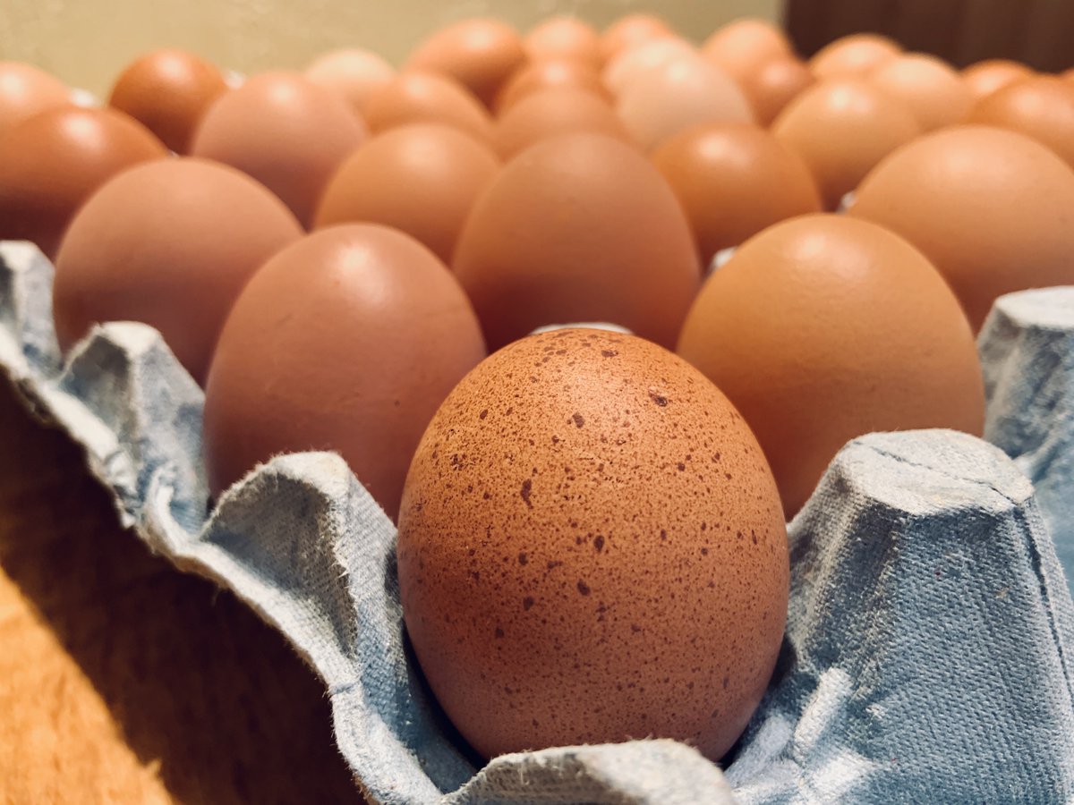 Our own home laid eggs, brought up fresh from the farm every morning! #farmfresh