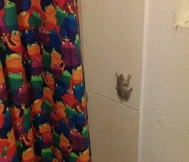 EOT-bbqX4AIvP1c?format=jpg&name=small