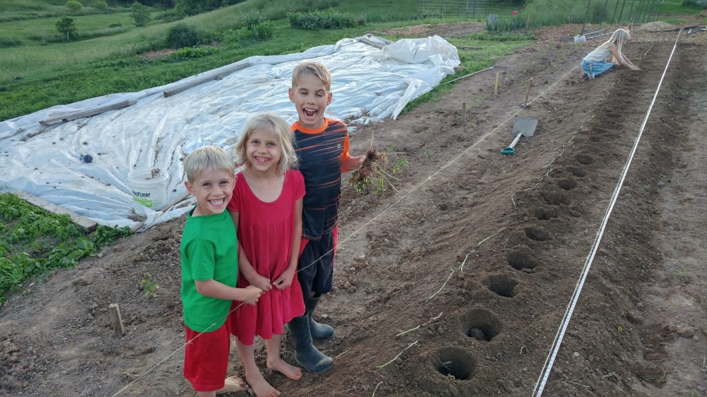 Seeds for Generation tweet media