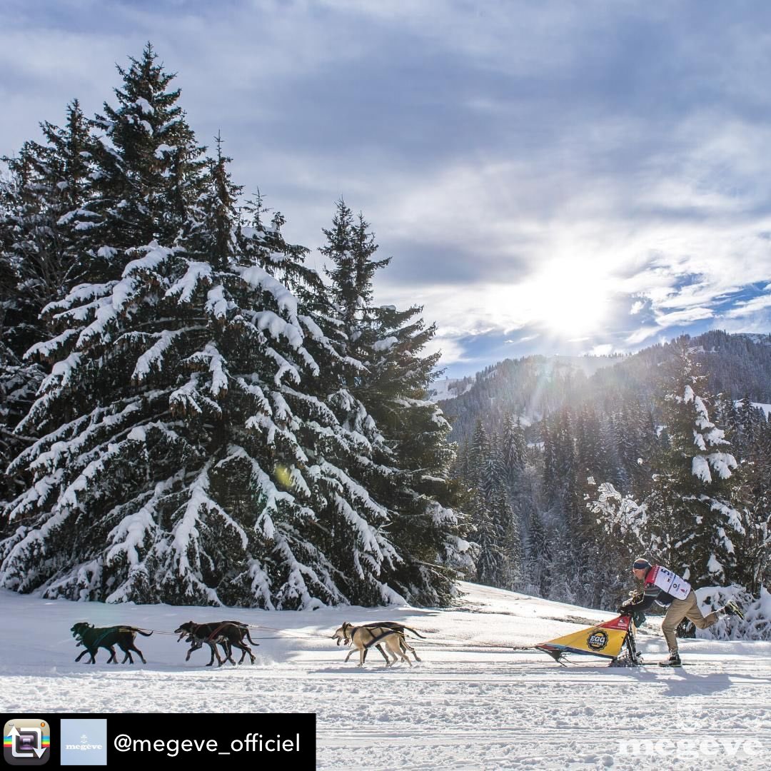 The Husky’s are back. Mush Mush! #odysseymontblanc #megeve #huskyrace