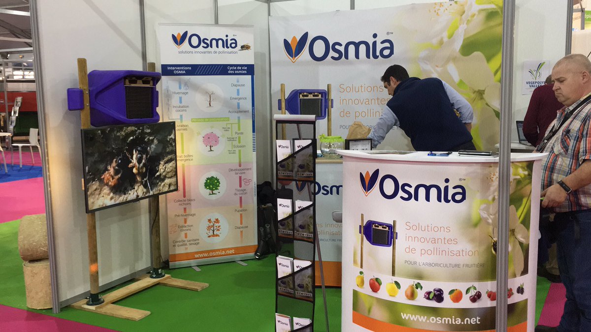 osmia's tweet photo. https://t.co/i79jJgdKKh