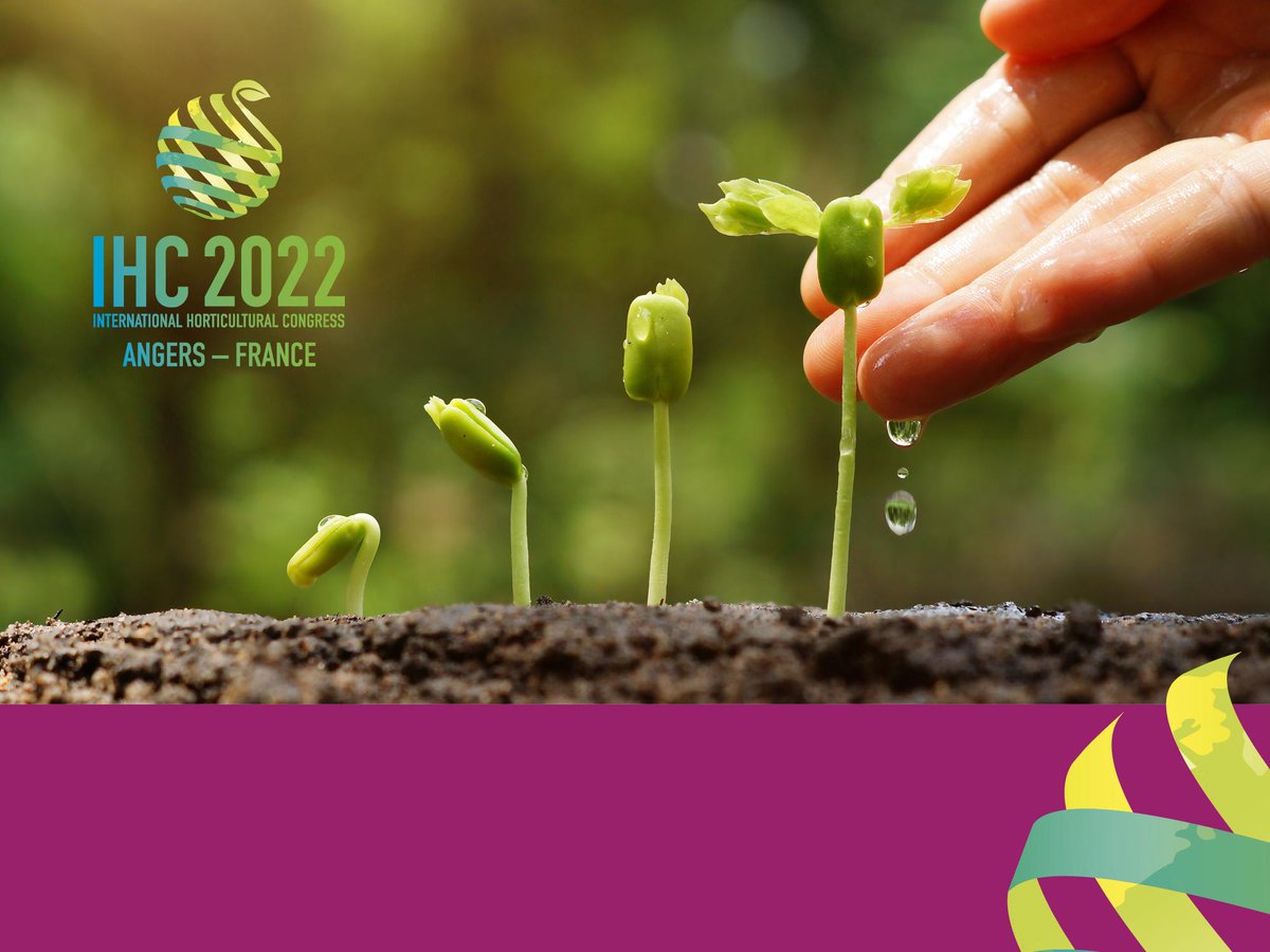 Angers_ALDEV's tweet photo. [Conférence #sival20 ] 🌱J-989 - 31e Congrès mondial de l' #Horticulture à #Angers - salle Ardesia aujourd'hui à 14h30👉Venez découvrir l’événement, ses avancées &amp; les nombreuses opportunités à saisir pour tous les acteurs de la filière #IHC2022 https://t.co/afOJw5vHbZ #vegetal https://t.co/uKrKwvBe70