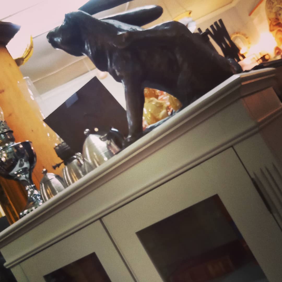 TwoJaysCorner's tweet photo. Is spring on its way yet?
#antiqueshop
#vintageshop
#paintedfurniture
#paintedbookcase
#farrowandball
#upcycledfurniture
#bronzehare
#thehouseofup
#shifnal #shropshire
#loveshifnal #visitshifnal #visitshropshire https://t.co/PgNASFtygr
