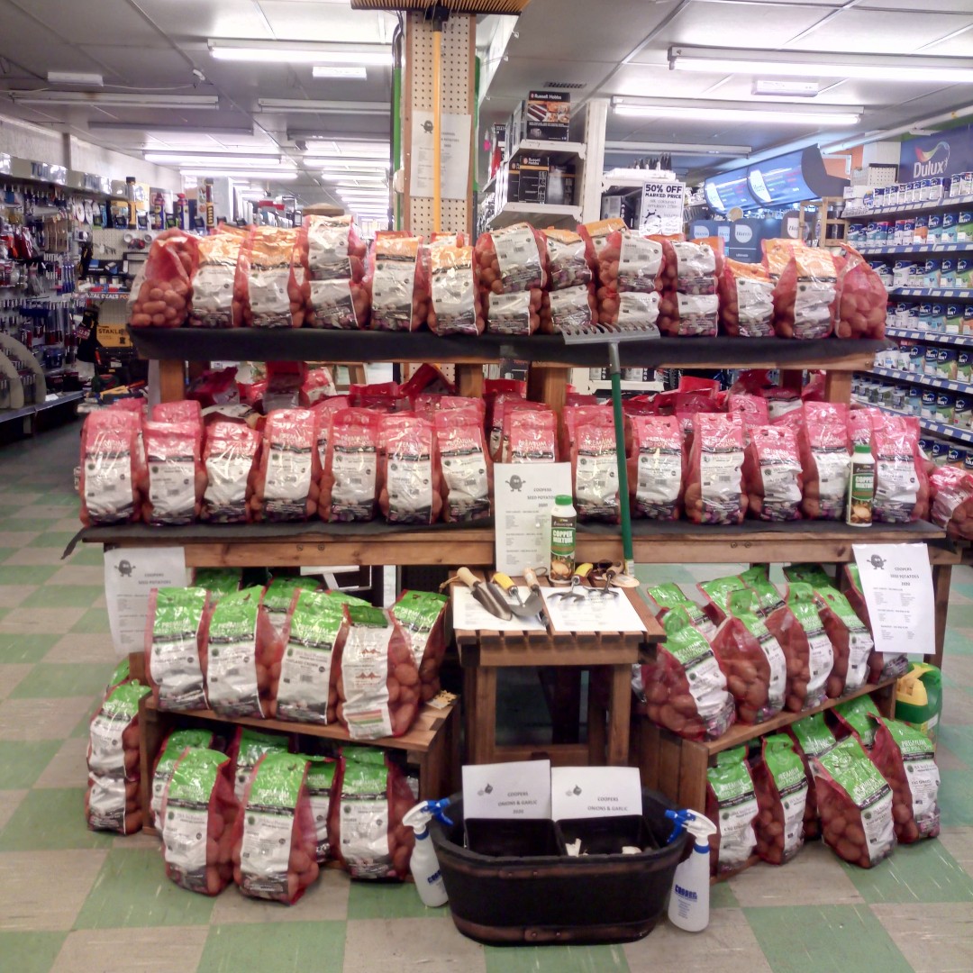 🥔 What's your favourite spud to grow? 🥔 
.
A wide selection of <a href="/Boston_Bulbs/">Boston Bulbs</a> seed potatoes, now available in all Coopers stores
.
.
.
.
#seedpotatoes #spuds #organicgarden #veggiegarden #gardenersofig #allotmentlove #potagergarden #gyo #growyourown #homegrown #kitchengarden
