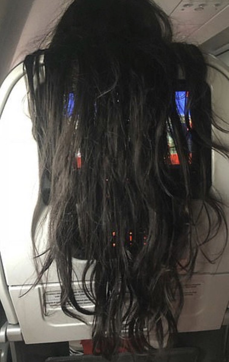 apachemerman's tweet image. ⁦Meghan relaxes on the sea plain.  #TruthAboutMeghan