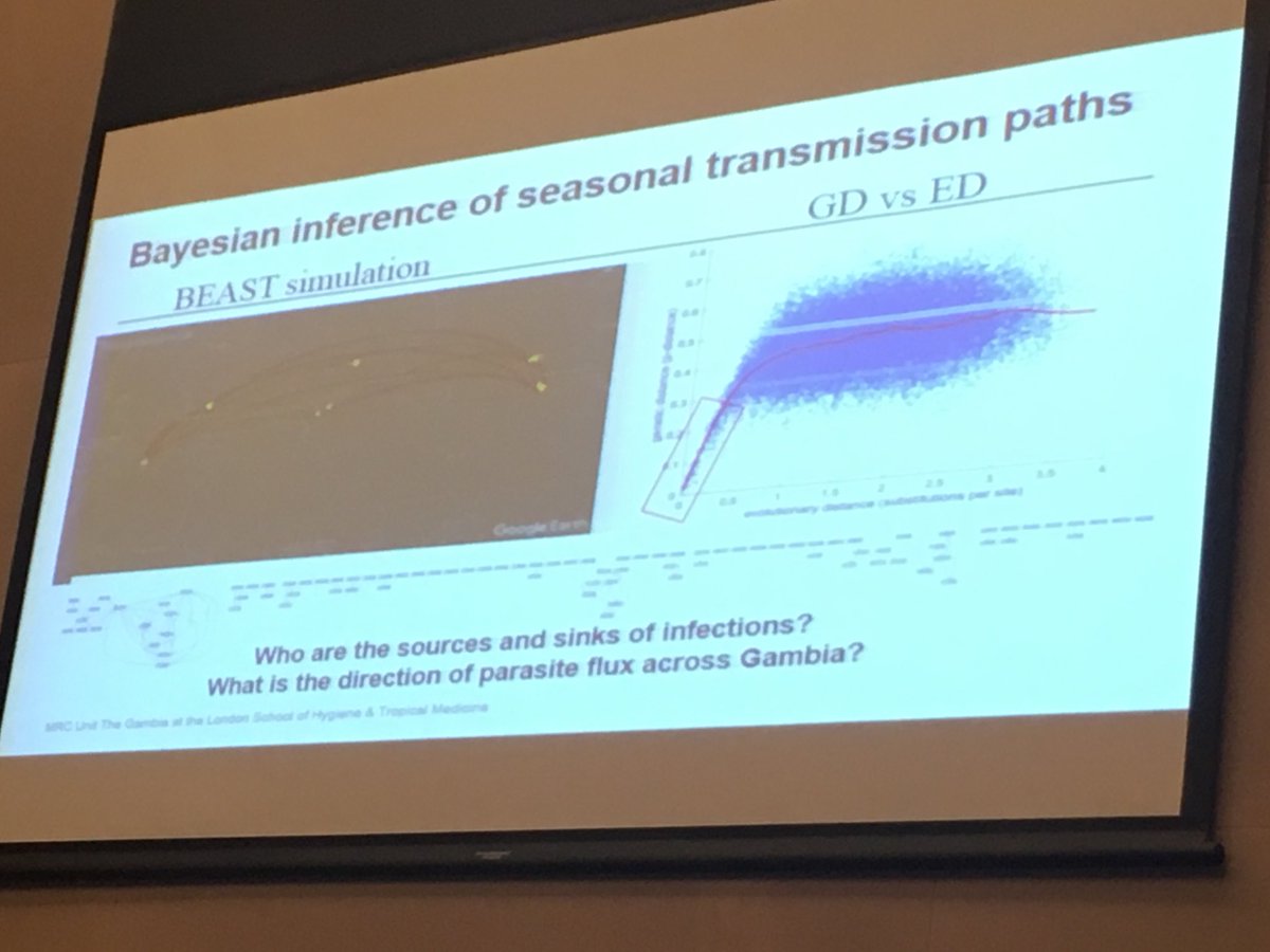 Naf_Cho's tweet image. Who infected whom and where? Genetics/genomics Cluedo for malaria transmission ⁦@_AfricanUnion⁩ ⁦@AfricaCDC⁩ ⁦@sofoniaskt⁩ ⁦@jennifergardy⁩ #pathogenomics #africacdc #PGII