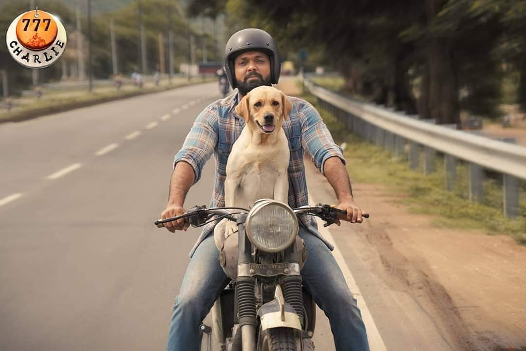 creativeguyz77's tweet image. #777Charlie Team wishes everyone a Happy Sankranthi!
Charlie will meet you soon...
@rakshitshetty @Kiranraj61 @satiSangeetha @777CharlieMovie @Pushkara_M