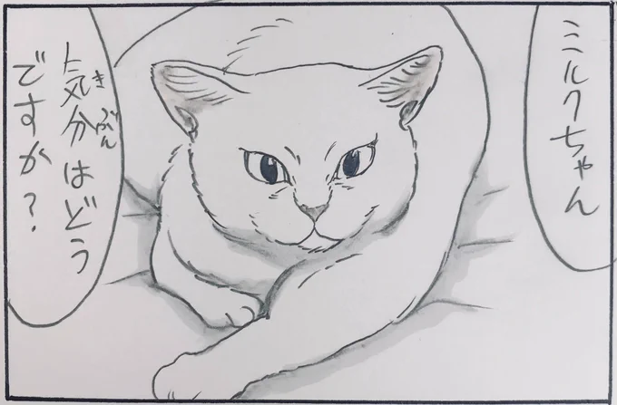 『本日のミルク②』 